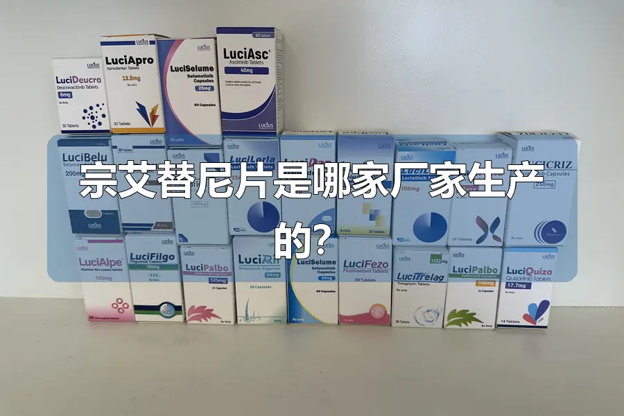 宗艾替尼片是哪家厂家生产的？