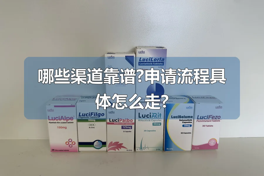 哪些渠道靠谱?申请流程具体怎么走?